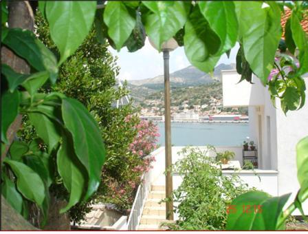 Apartments Vila Dana دوبروفينك المظهر الخارجي الصورة